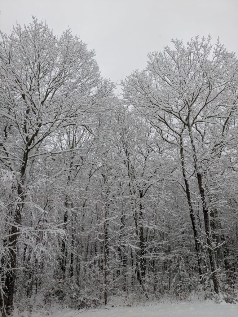 first snow of the season